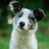 Mark Wagner's photo