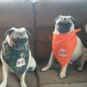 Donna Kangas's photo