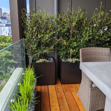 Polished Concrete Glass balcony