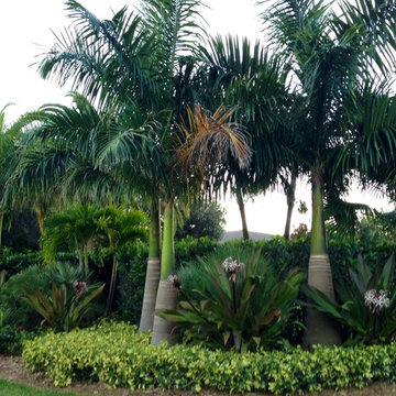 Front Yard/Back Yard/Pool Landscapes