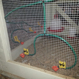 Automatic Gravity Fed Rainwater Harvesting Chicken Watering System - Products