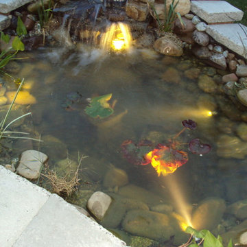 Ponds and Streams