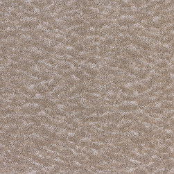 Laurel Falls Fresh Taupe - Carpet Tiles
