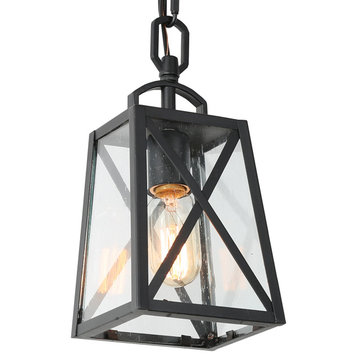 LNC Farmhouse 1-Light Black Cage Outdoor Hanging Lighting With Glass
