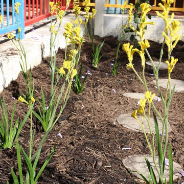 Primary School Nature Play