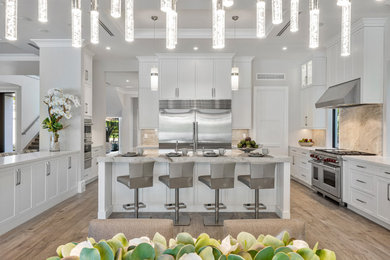 Inspiration for a kitchen remodel in Miami