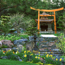 Landscape Ideas