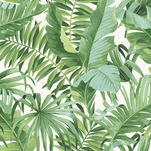 Palm Tree Wallpapers