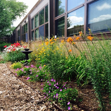 School courtyard