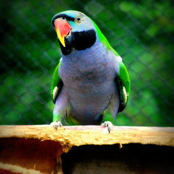 Photographic Artwork - Photographs