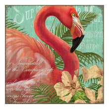 Flamingos