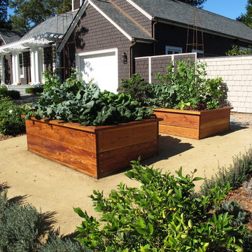 Vegetable gardens