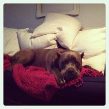 Cozy
