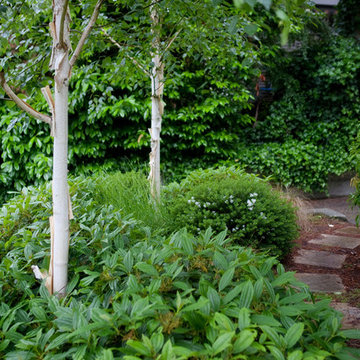 Circles and Squares in the Garden