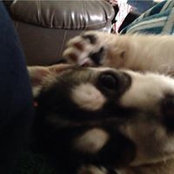 Riley Mulligan's photo