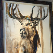 Amy Humphreys's photo