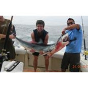 Matthew D'Amore's photo