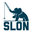 Slon Development