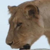 Julie Rigden's photo