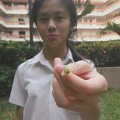 Jin Suen's photo