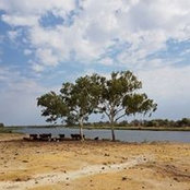 Kevin Fleming's photo