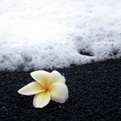 Foto von Jodi Pirie