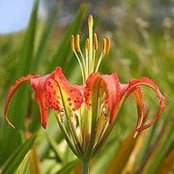 Shirley Denton's photo