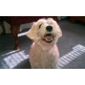 Pati Speelman's photo