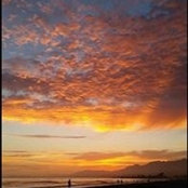 Lori Van Beek's photo