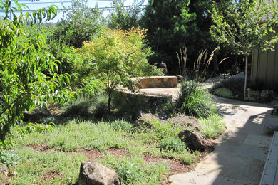 Los Altos garden