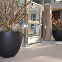 Patio Interior