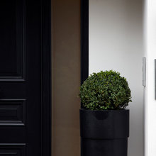 Curb Appeal