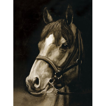"Montana Horse II" Canvas Art