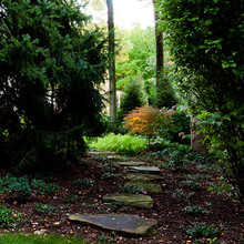 Landscape Ideas