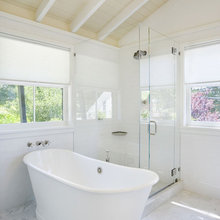 shower with vaulted