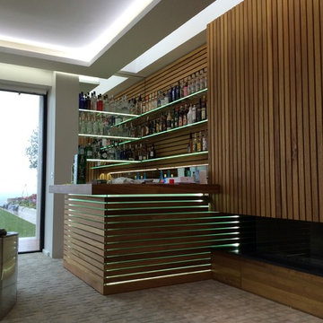 Bar and TV Room