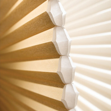 Product Close Up