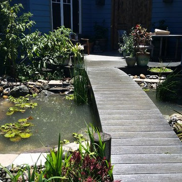 Water Features