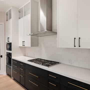 New residence, Cupertino - 4