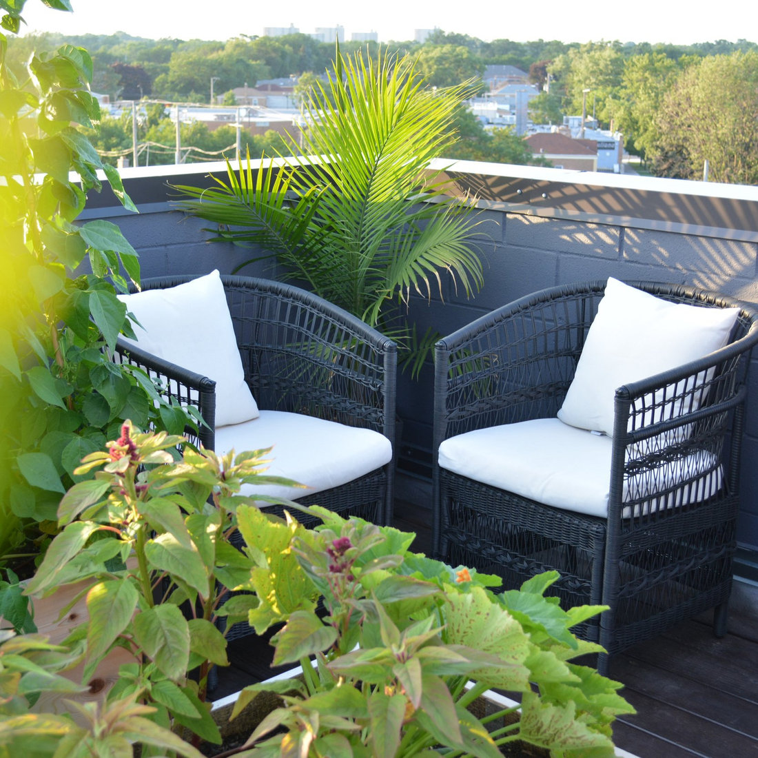 Japandi Rooftop
