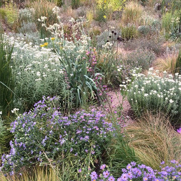 Chatfield Farms Visitors Center Native Plant Gardens