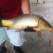Ethan Blodgett's photo