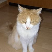 Eileen Triems's photo