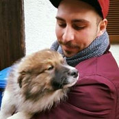 Nikola Krnic's photo