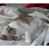 Kristin Ring's photo