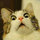 saad_shah24