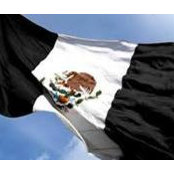 Gustavo Glz.'s photo