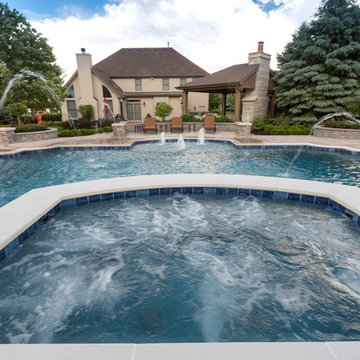 Elgin, IL Roman End Pool with Freeform Hot Tub