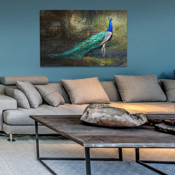 Jungle Stream Peacock