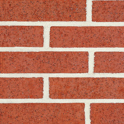 Triangle Brick's Red Wirecut Ironspot - Bricks And Masonry